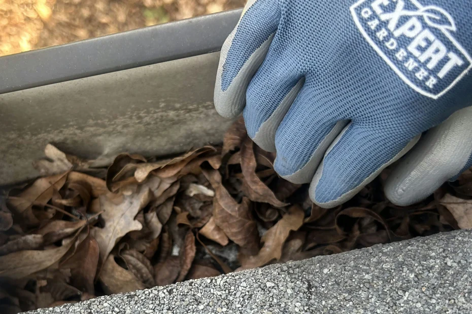 Gutter Cleaning Cincinnati OH